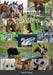 Tiere mit Berufen by Annett Ledong