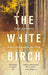 The White Birch by Tom Jeffreys