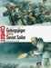 Gebirgsjager Vs Soviet Sailor: Arctic Circle 1942-44 by David Greentree