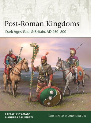 Post-Roman Kingdoms: 'Dark Ages' Gaul & Britain, Ad 450-800 by Raffaele D'Amato