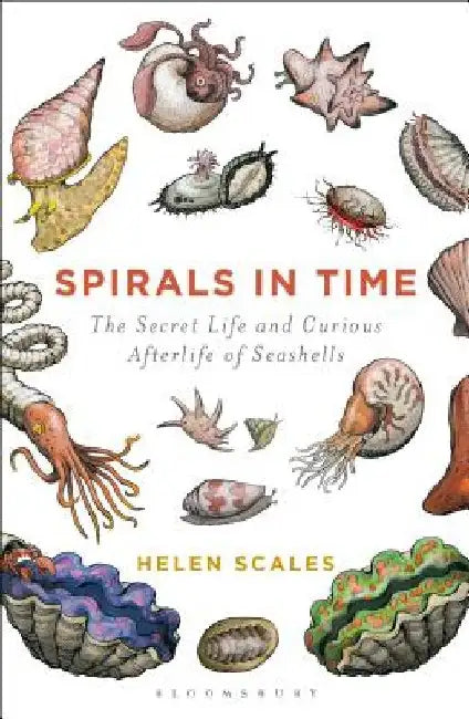 Spirals in Time: The Secret Life and Curious Afterlife of Seashells by Helen Scales