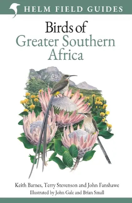 Field Guide to Birds of Greater Southern Africa by Terry Stevenson