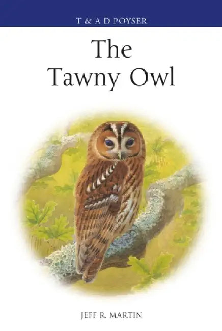 The Tawny Owl by Jeff Martin