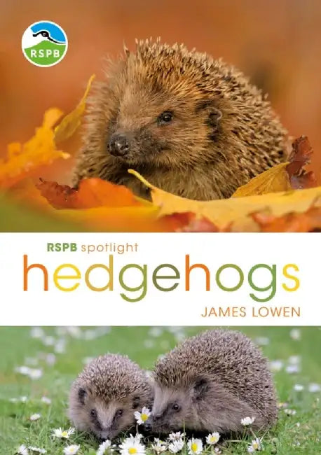 Rspb Spotlight Hedgehogs by James Lowen