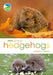 Rspb Spotlight Hedgehogs by James Lowen