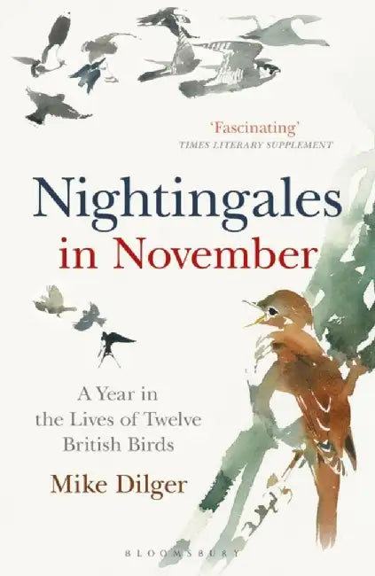 Nightingales in November by Mike Dilger