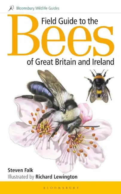 Field Guide to the Bees of Great Britain and Ireland by Steven (Author) Falk
