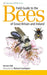 Field Guide to the Bees of Great Britain and Ireland by Steven (Author) Falk