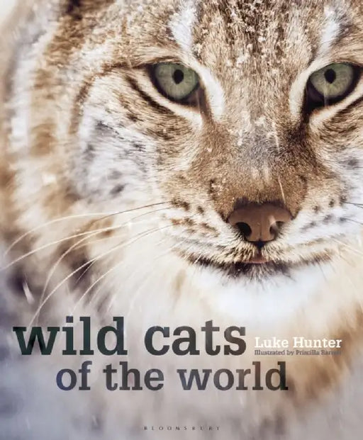 Wild Cats of the World by Luke Hunter