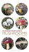 Pocket Guide to Mushrooms by John C. Harris
