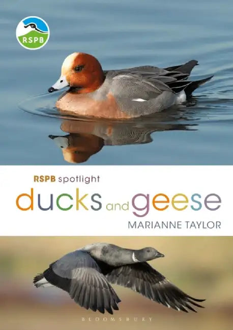 Rspb Spotlight Ducks and Geese by Marianne Taylor