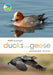 Rspb Spotlight Ducks and Geese by Marianne Taylor