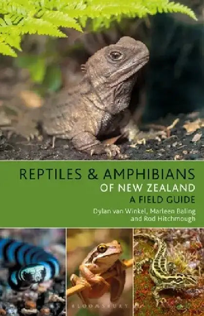 Reptiles and Amphibians of New Zealand by Dylan van Winkel