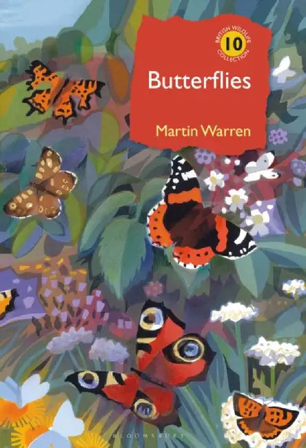 Butterflies by Martin Warren