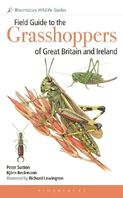 Field Guide to the Grasshoppers of Great Britain and Ireland by Peter Sutton