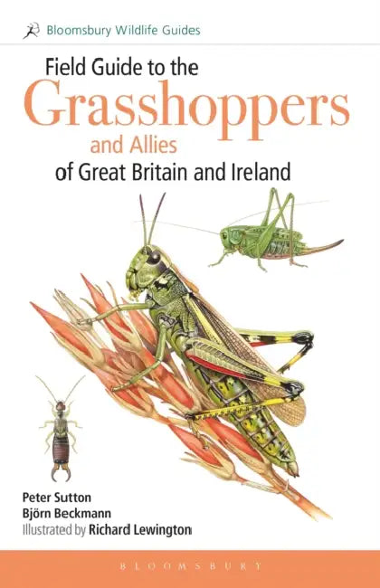 Field Guide to the Grasshoppers and Allies of Great Britain and Ireland: Grasshoppers, Crickets, Earwigs, Cockroaches, Mantids and Stick-insects by Peter Sutton