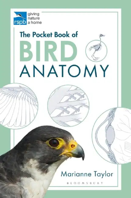 The Pocket Book of Bird Anatomy by Marianne Taylor