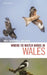 Where to Watch Birds in Wales by David Saunders