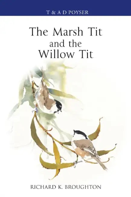 The Marsh Tit and The Willow Tit by Richard Broughton