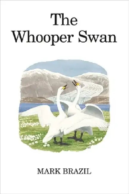 The Whooper Swan by Mark Brazil