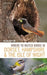 Where to Watch Birds in Dorset, Hampshire and the Isle of Wight: 5th Edition by Keith Betton