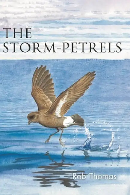 Storm-Petrels by Rob Thomas