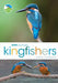 Rspb Spotlight Kingfishers by David Chandler