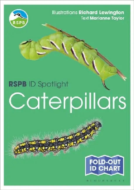 RSPB ID Spotlight - Caterpillars by Marianne Taylor