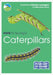 RSPB ID Spotlight - Caterpillars by Marianne Taylor