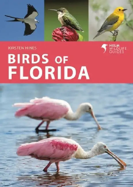 Birds of Florida by Kirsten Hines