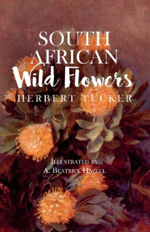 South African Wild Flowers - Illustrated by A. Beatrice Hazell by Herbert Tucker