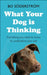 What Your Dog Is Thinking by Bo Soderstrom