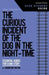 The Curious Incident of the Dog in the Night-Time GCSE Student Guide by Jacqueline Bolton