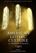 American Gothic Culture: An Edinburgh Companion by Jason Haslam