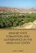 Kinship State Formation and Governance in the Arab Gulf States by J. Scott Weiner
