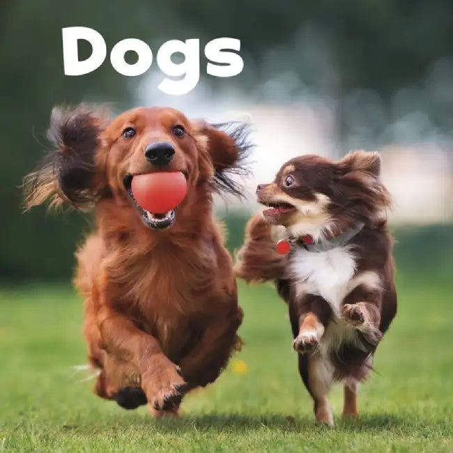 Dogs by Lisa J. Amstutz