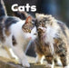 Our Pets Pack A of 6 by Lisa J. Amstutz