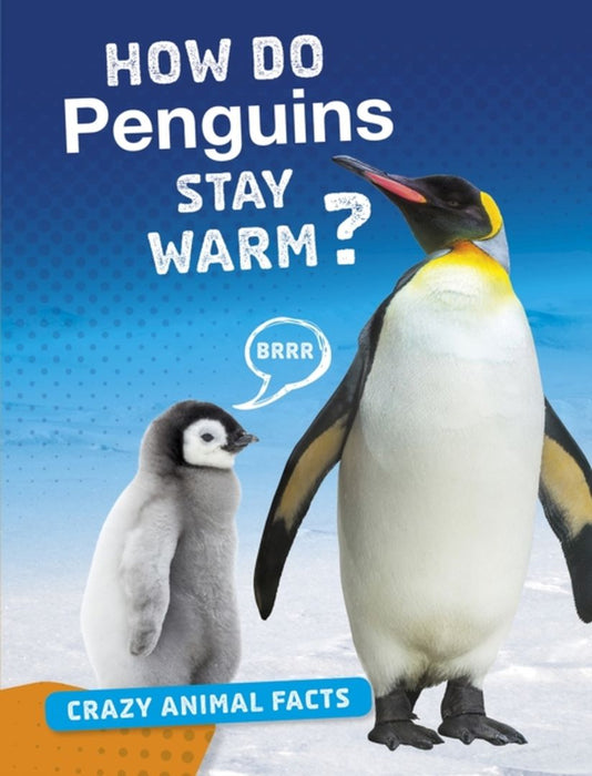 How Do Penguins Stay Warm?