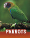 Parrots by Schuh, Mari