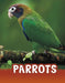 Parrots by Schuh, Mari