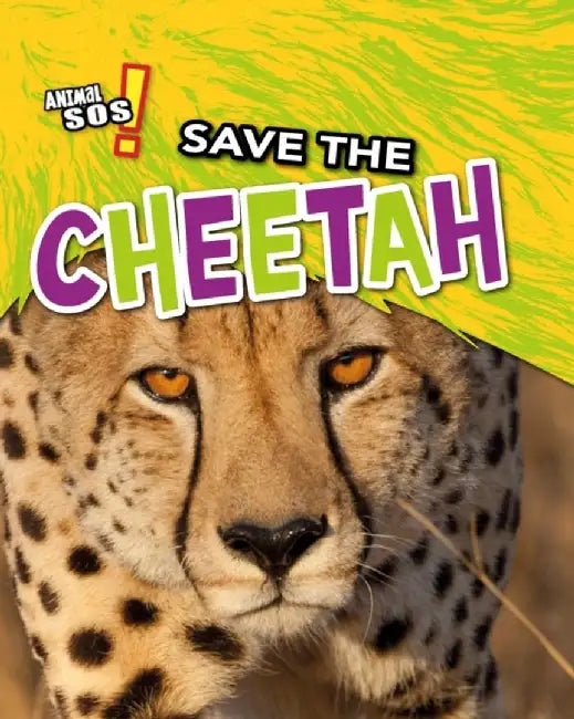 Save the Cheetah by Louise Spilsbury