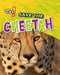 Save the Cheetah by Louise Spilsbury