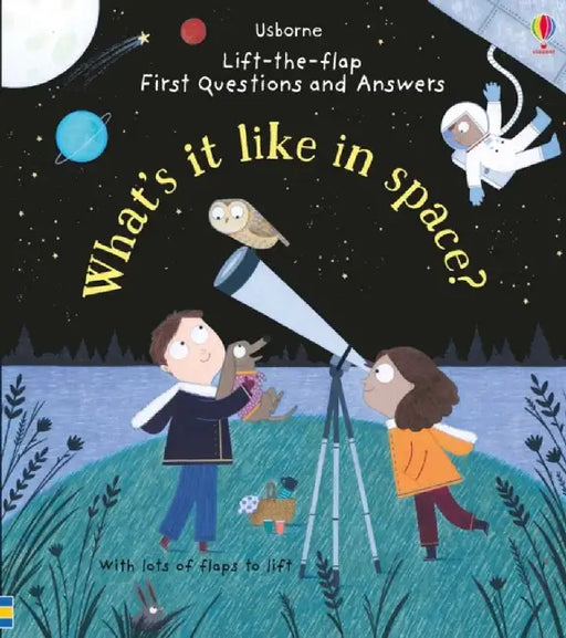 First Questions and Answers: What's it like in Space? by Katie Daynes