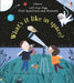 First Questions and Answers: What's it like in Space? by Katie Daynes