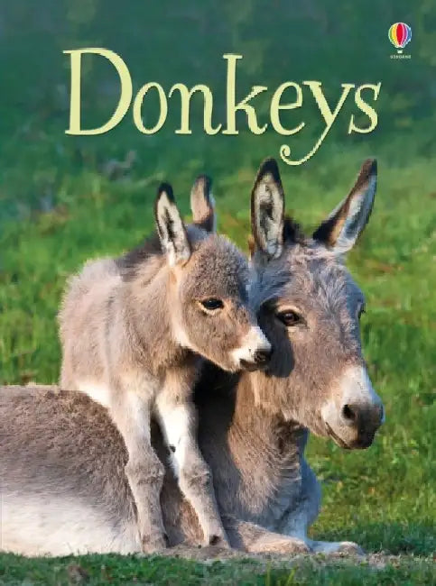 Donkeys by James Maclaine
