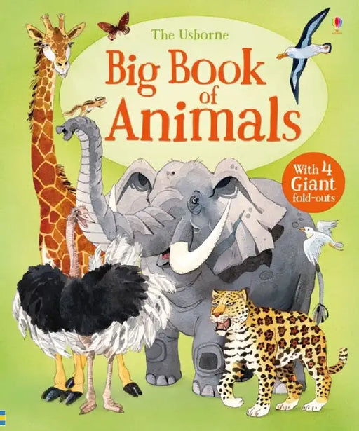 Big Book of Animals by Hazel Maskell