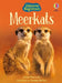 Meerkats by James Maclaine