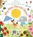 First Questions and Answers: Why Does the Sun Shine? by Katie Daynes