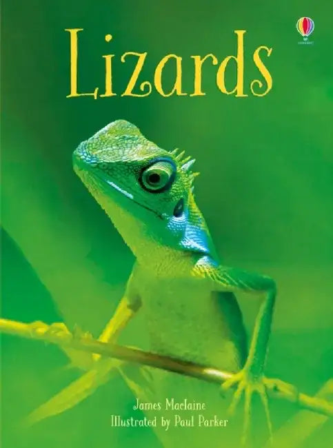 Lizards by James Maclaine