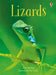 Lizards by James Maclaine